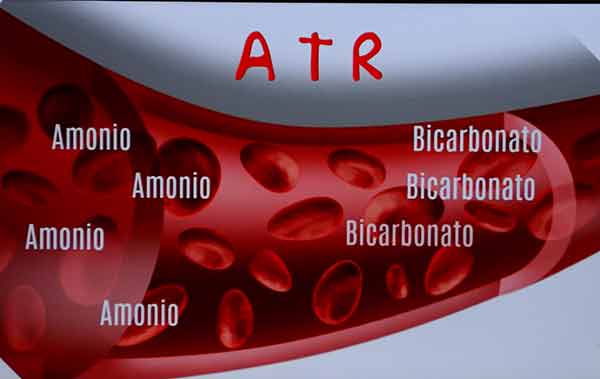 La ATR distal es una enfermedad renal de muy baja prevalencia. 