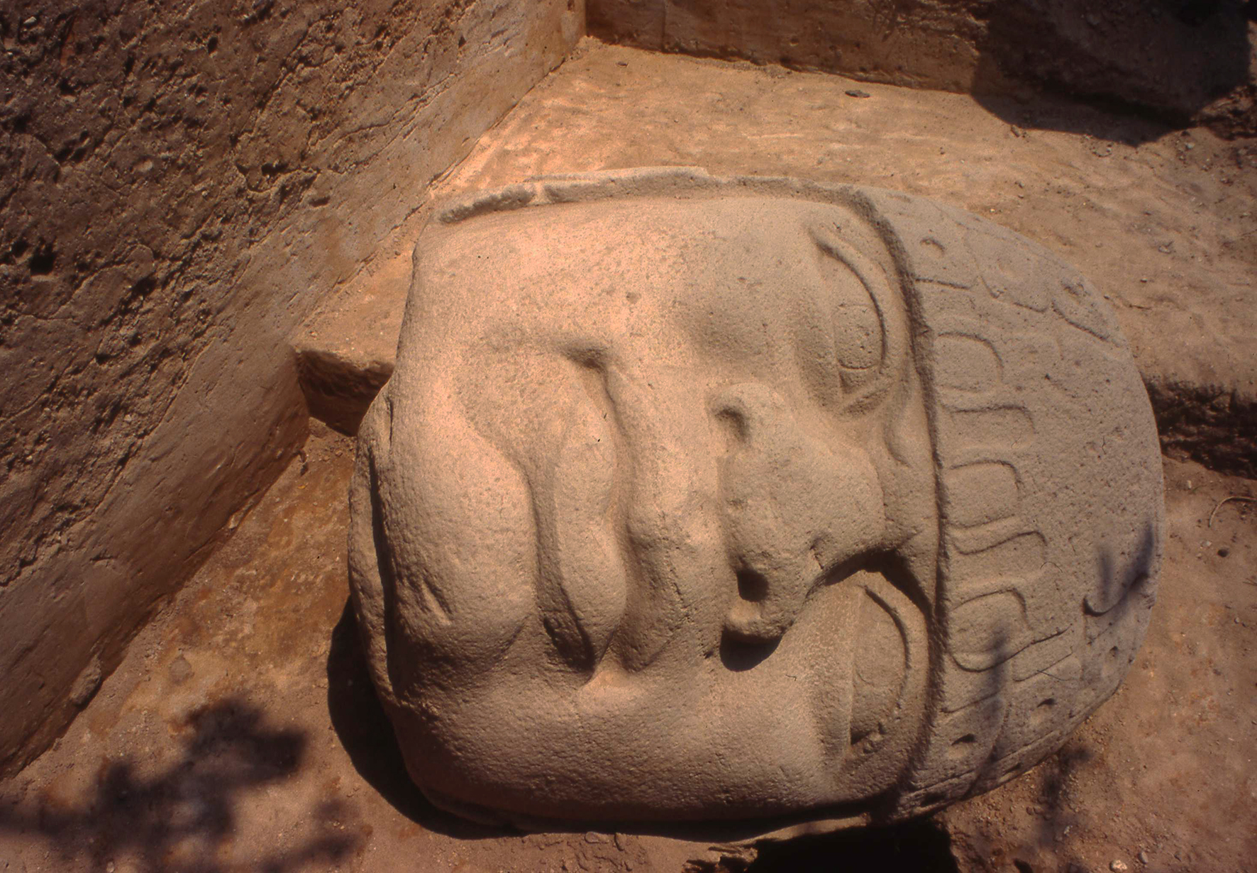 CABEZAS COLOSALES OLMECAS SON DE ORIGEN MESOAMERICANO Y NO AFRICANO 