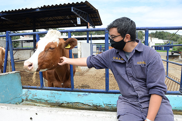 VETERINARIOS, ESENCIALES PARA LA SALUD HUMANA