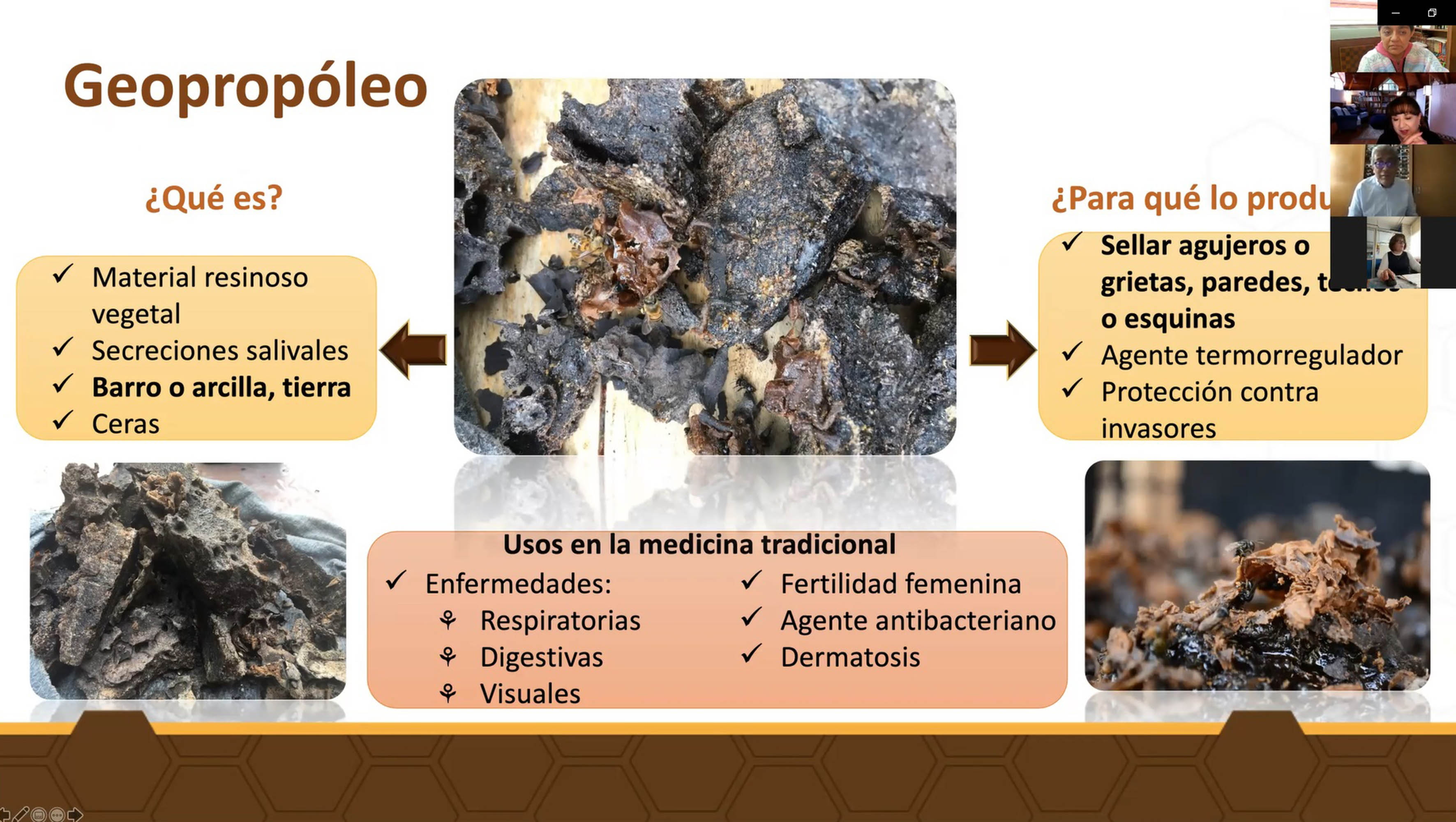 Arcilla Blanca – Medicina Tradicional