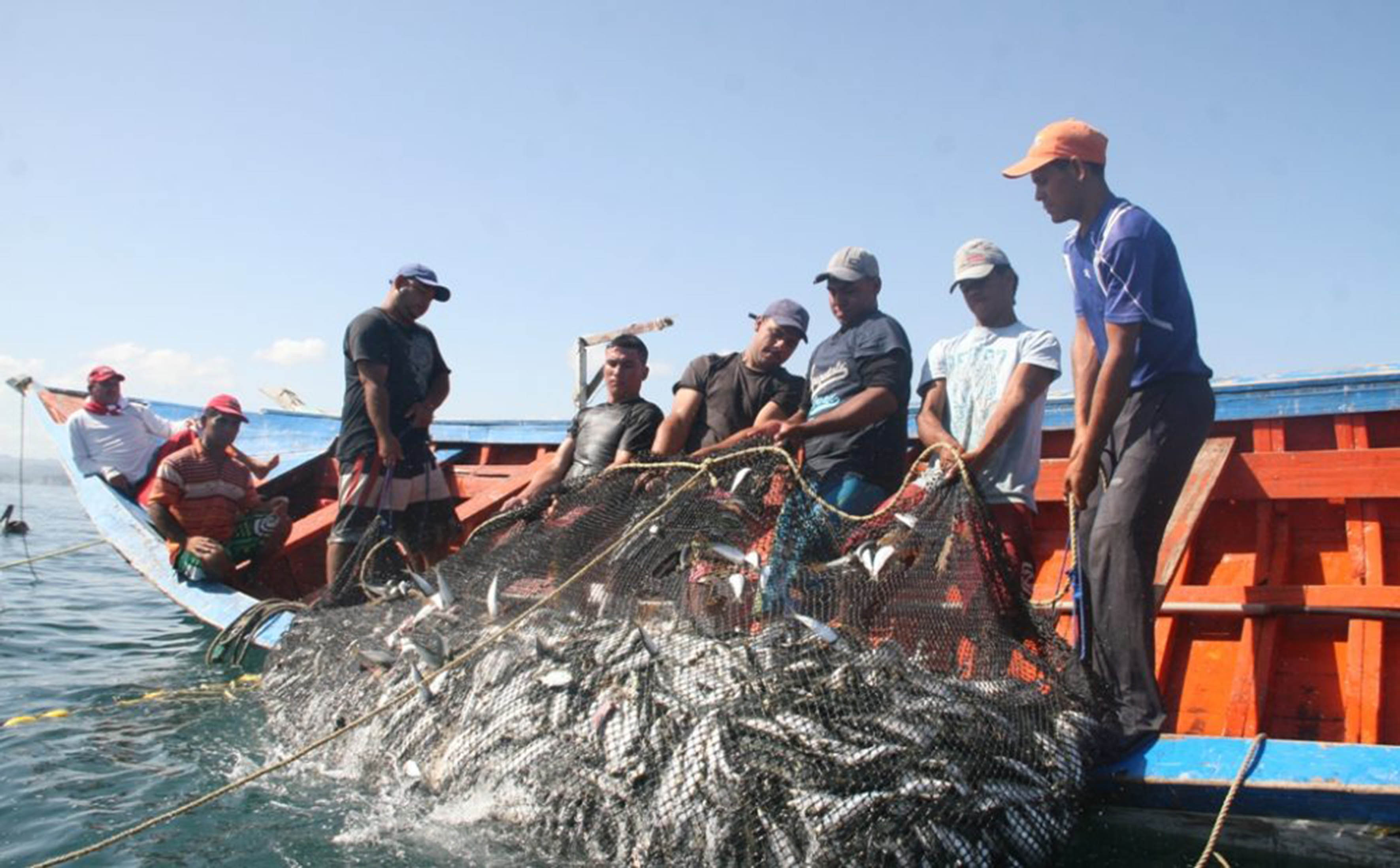 Estimulan en el mundo prácticas pesqueras más sustentables
