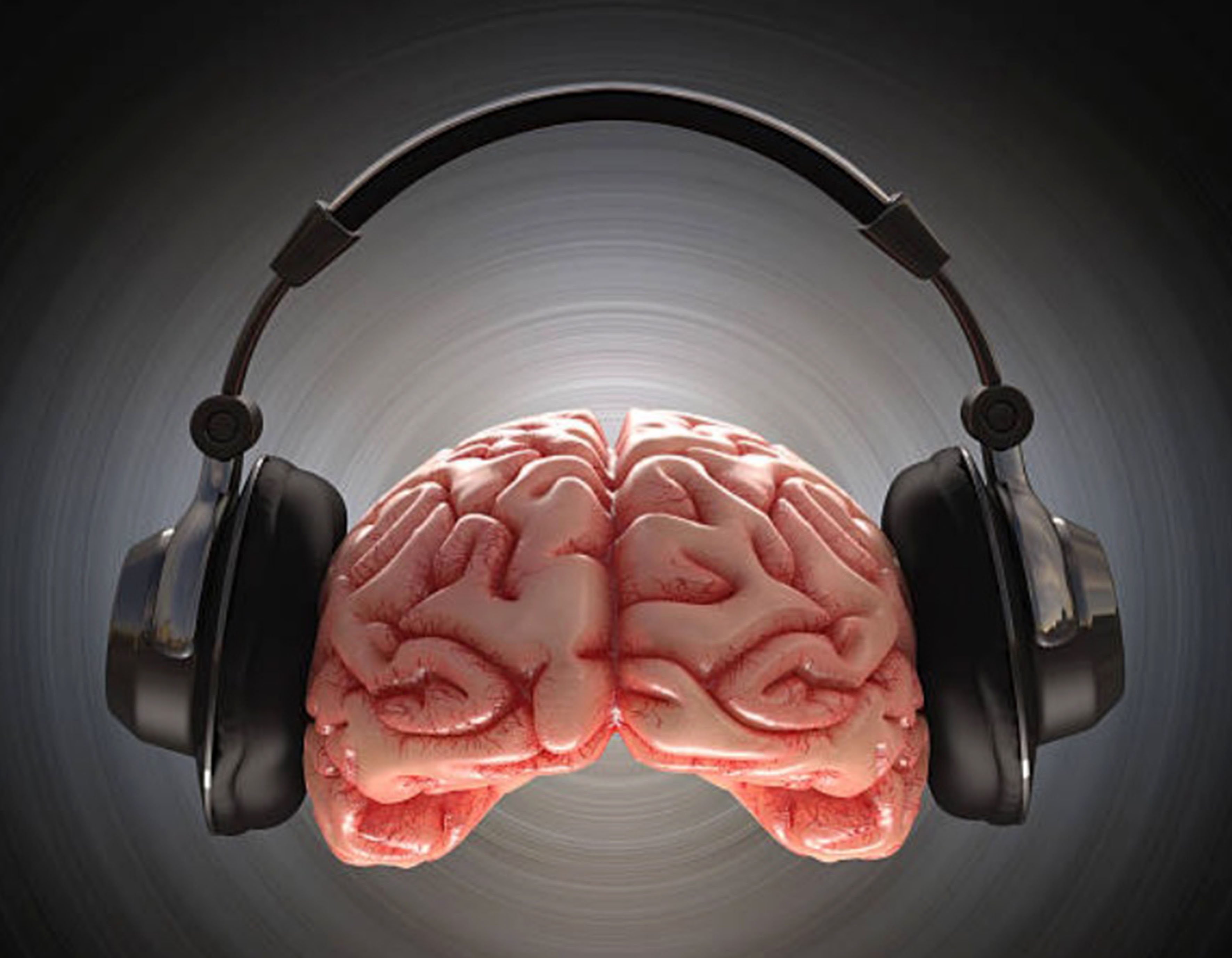 Brain sound. Мозг с наушниками. Музыкальный мозг. Мозговые наушники.