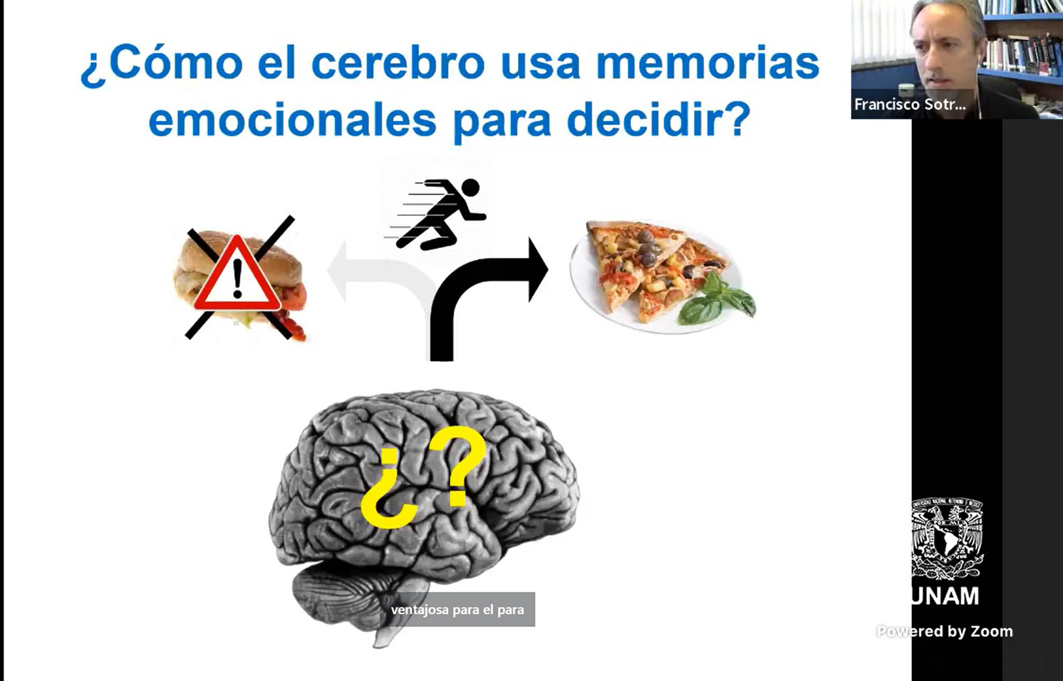 El cerebro usa recuerdos para tomar decisiones de supervivencia