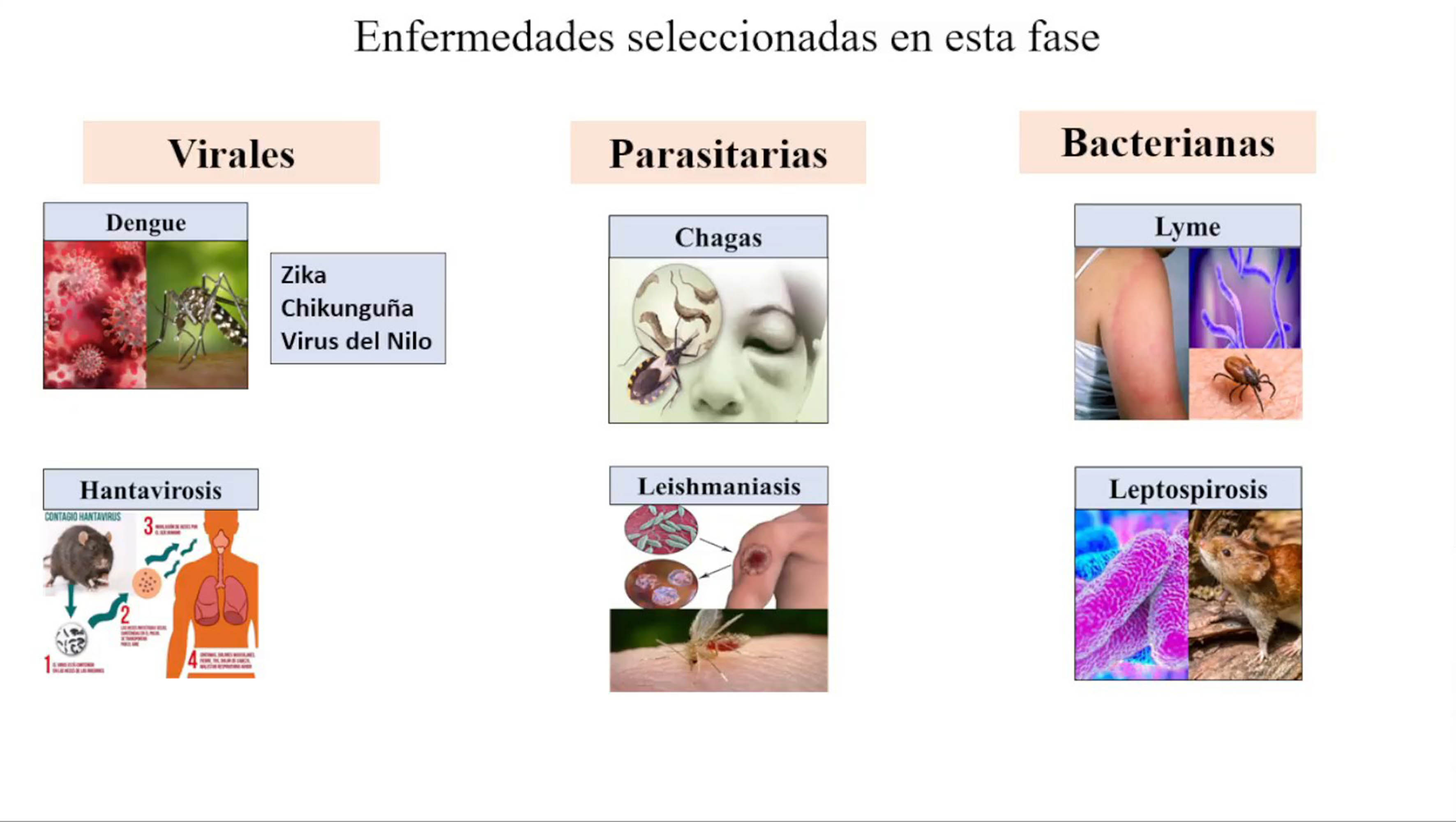 Enfermedades por aguantar las ganas de orinar