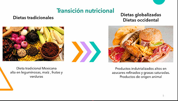 A Healthy Diet, At An Affordable Cost, A Dilemma